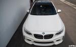 BMW M2 Coupe by EAS 2017 года